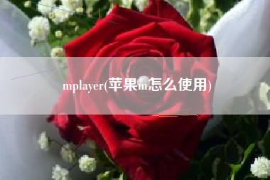 mplayer(苹果m怎么使用)