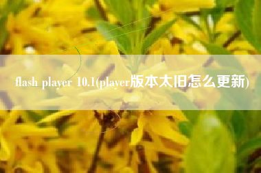flash player 10.1(player版本太旧怎么更新)