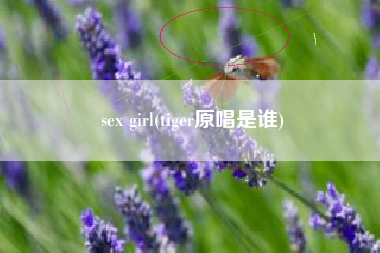 sex girl(tiger原唱是谁)