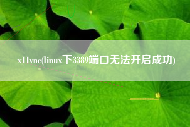 x11vnc(linux下3389端口无法开启成功)
