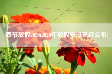 春节放假2020(2020年放假安排已经公布)