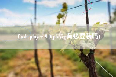 flash player 9.0(player有必要装吗)