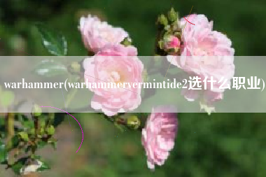 warhammer(warhammervermintide2选什么职业)