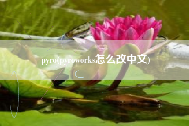 pyro(pyroworks怎么改中文)
