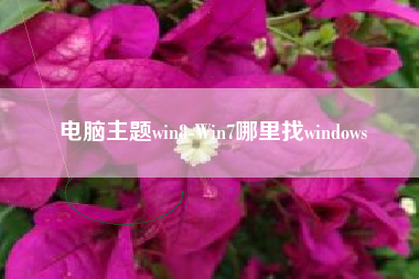 电脑主题win8-Win7哪里找windows