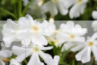 microsoft office07-MicrosoftOffice有哪些