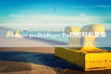 diskdigger pro,DiskDigger Pro陪您轻松复原
