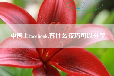 中国上facebook,有什么技巧可以分享