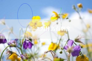 remained,为什么有剩余