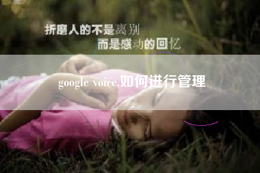 google voice,如何进行管理
