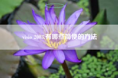 visio 2003,有哪些简便的方法