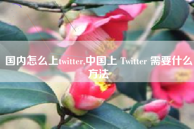 国内怎么上twitter,中国上 Twitter 需要什么方法