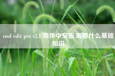 cool edit pro v2.1 简体中文版,需要什么基础知识