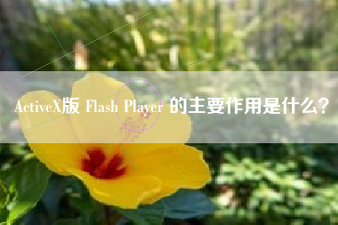 ActiveX版 Flash Player 的主要作用是什么？