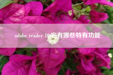 adobe reader 10,它有哪些特有功能