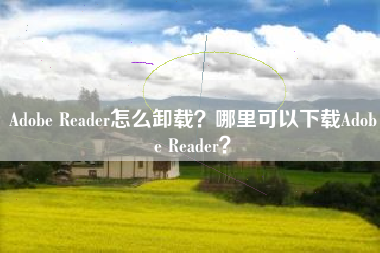 Adobe Reader怎么卸载？哪里可以下载Adobe Reader？