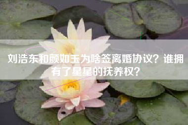 刘浩东和颜如玉为啥签离婚协议？谁拥有了星星的抚养权？