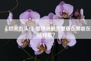 《怒火街头1》粤语港剧完整版在哪能在线观看？
